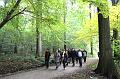 MG Herfstwandeling op 18-10-2015, org. Judith & Monke Menten (31)